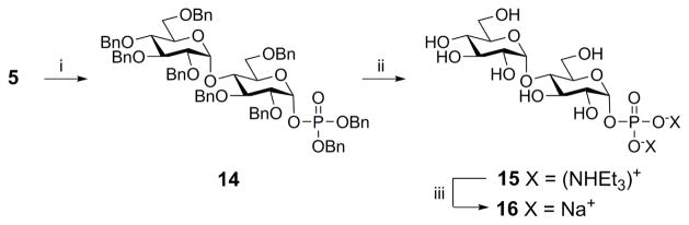 Scheme 5