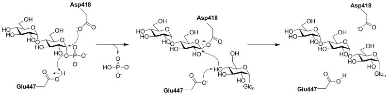 Scheme 2