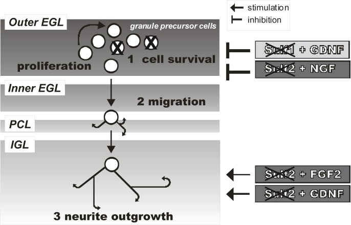 Fig 5