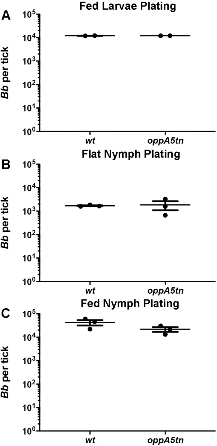 Fig 7