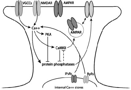 Fig. 6.