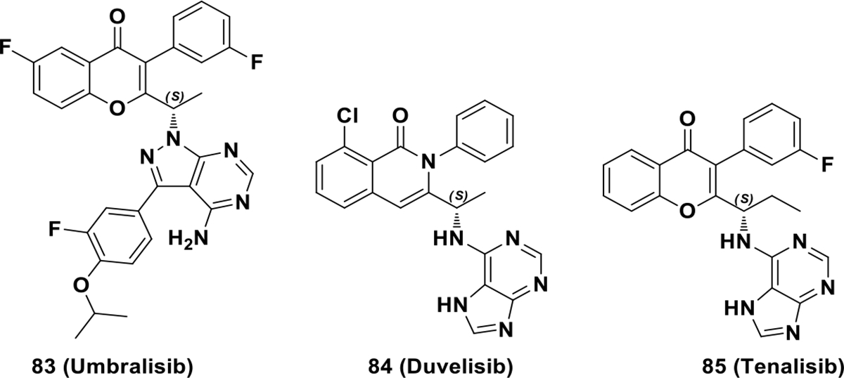 Scheme 24.