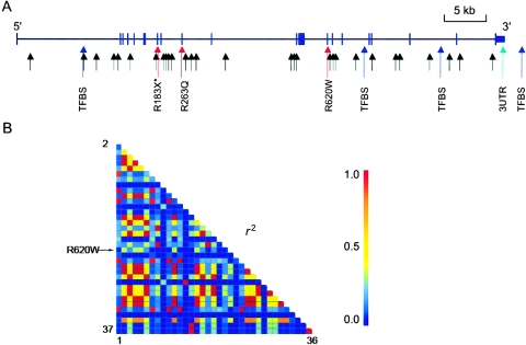 Figure  1