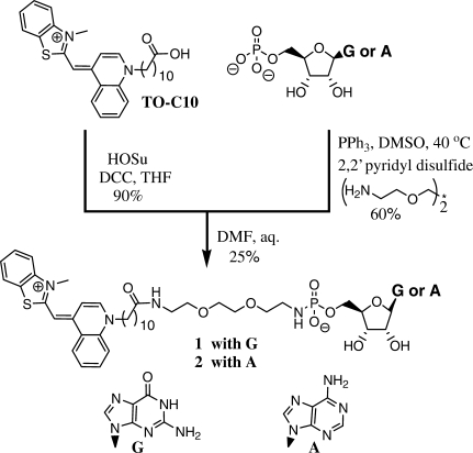 Scheme 2.