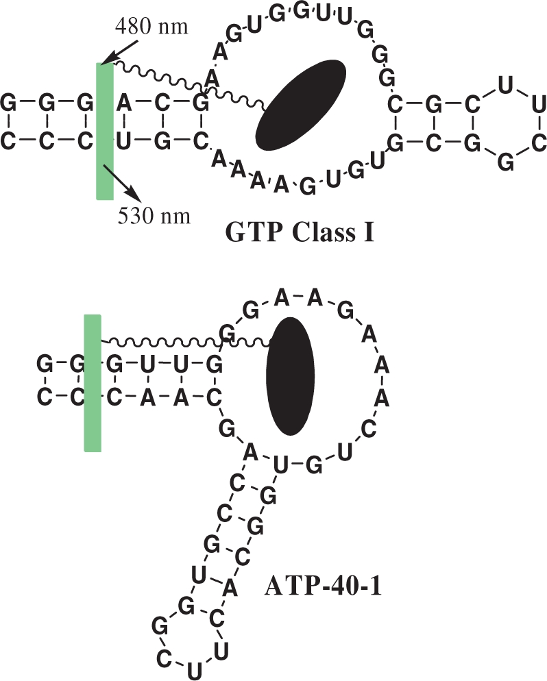 Scheme 3.