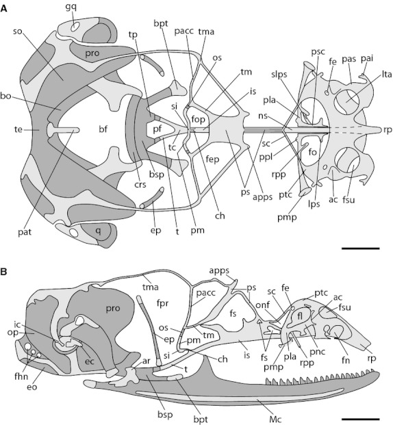 Fig. 6