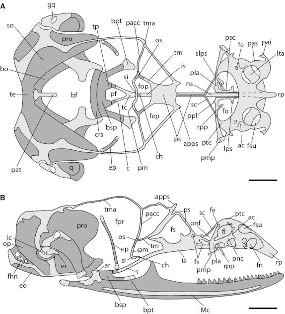 Fig. 7