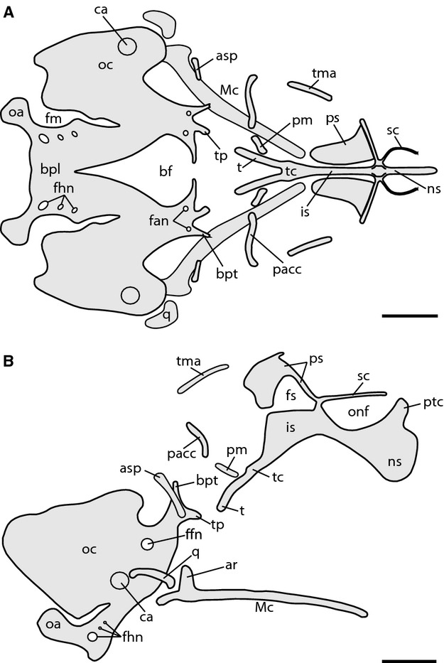 Fig. 2