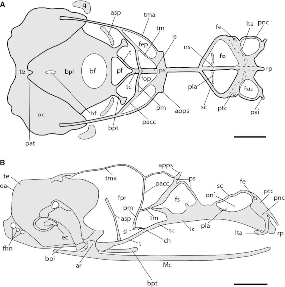 Fig. 3