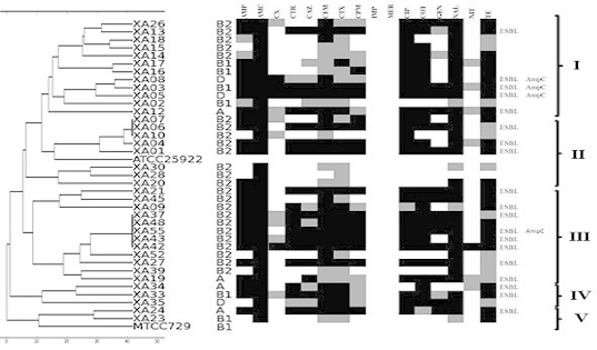 [Table/Fig-4]: