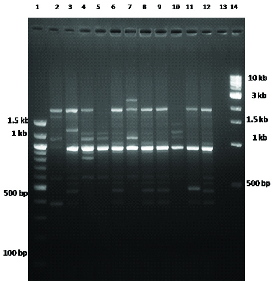 [Table/Fig-3]: