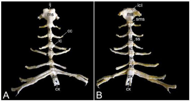 Figure 17