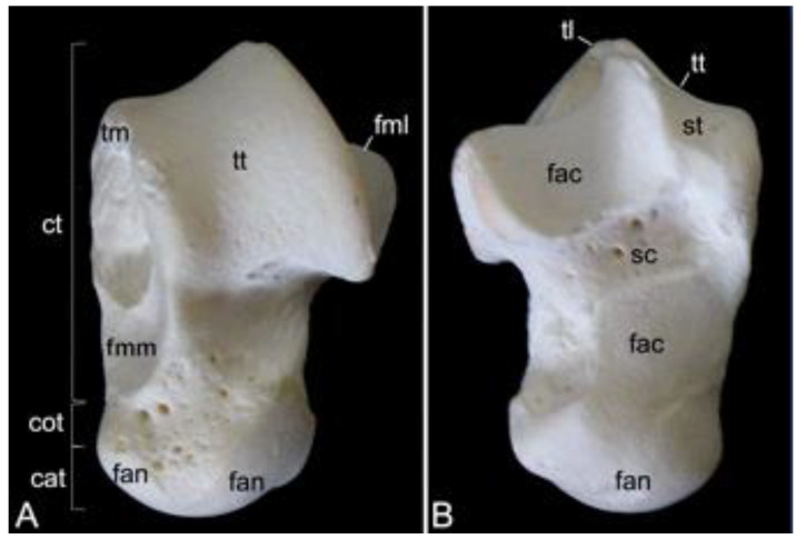 Figure 30