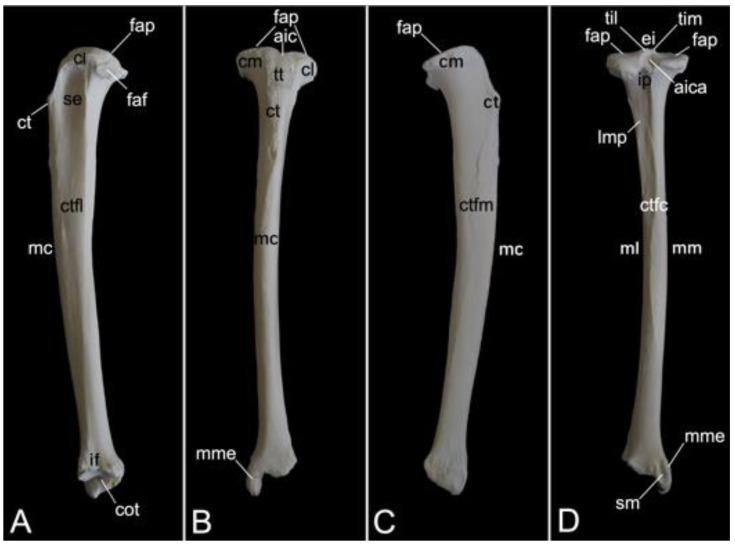 Figure 27