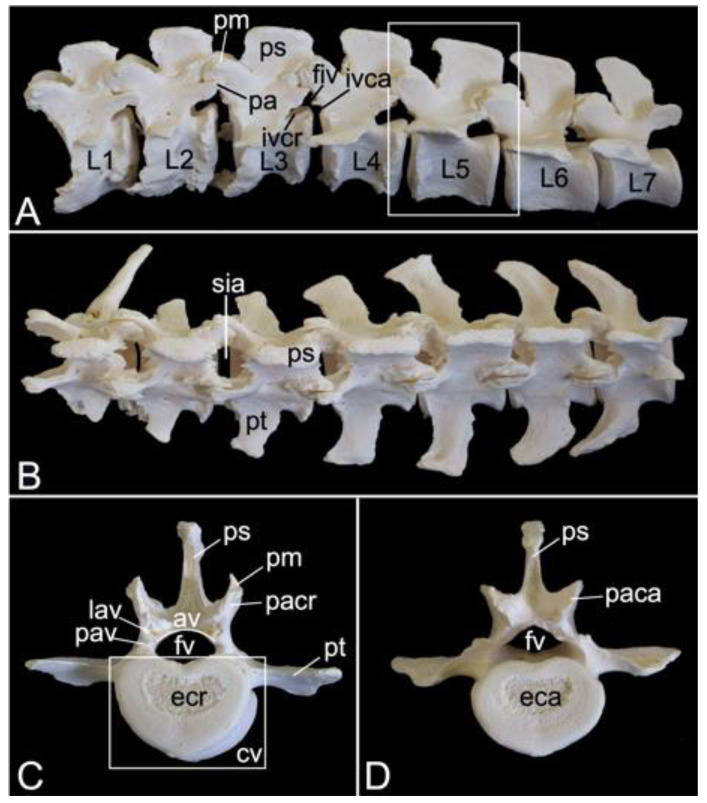 Figure 13