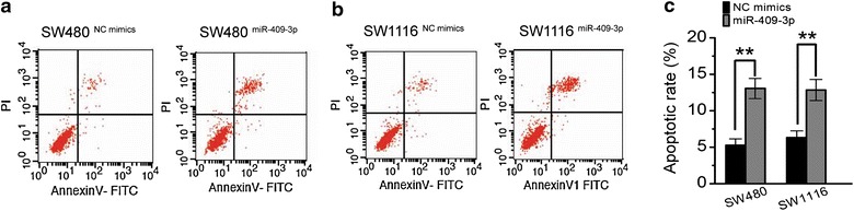 Figure 5