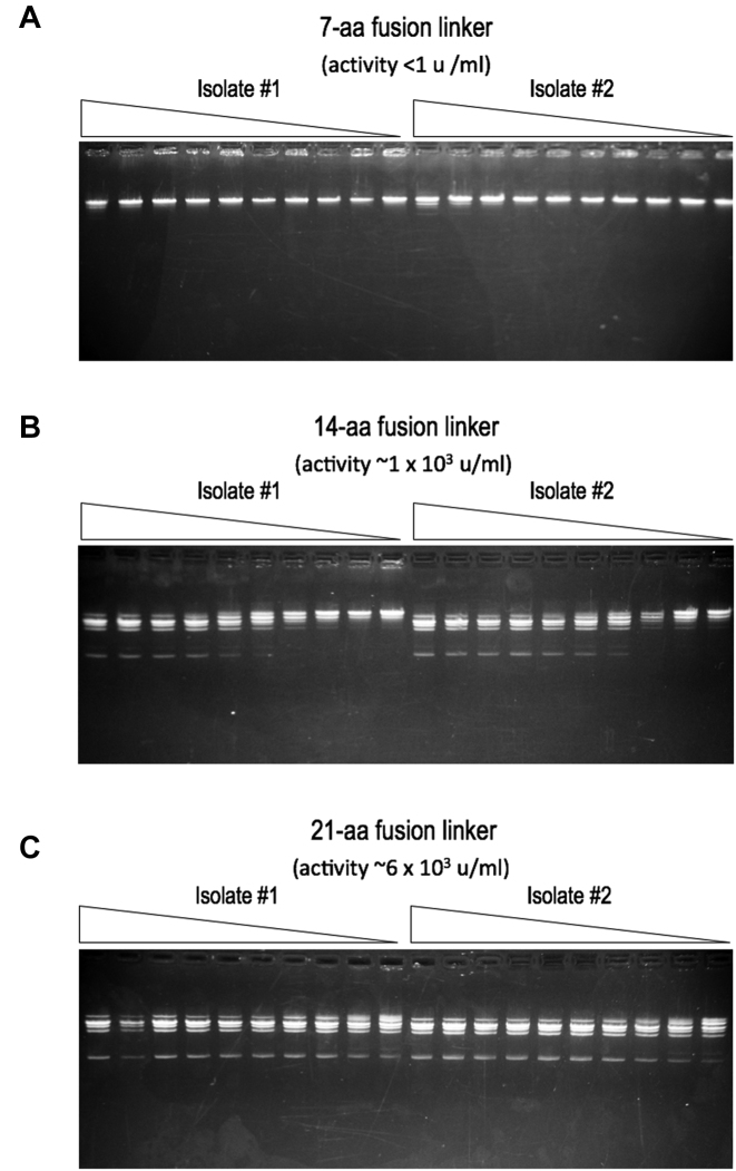 Figure 7.