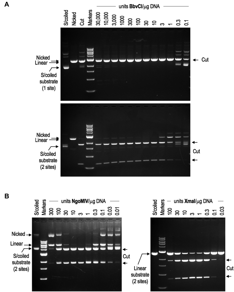 Figure 6.