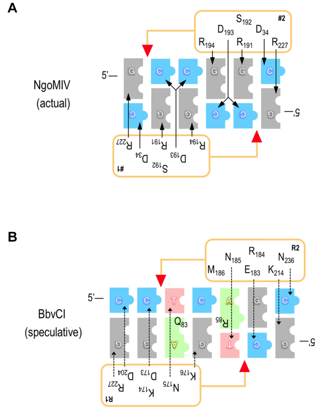 Figure 9.