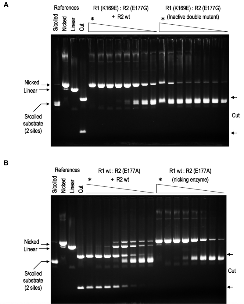 Figure 5.