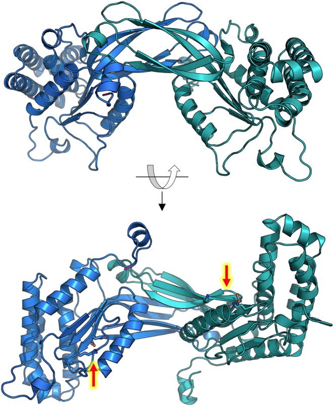 Figure 2.