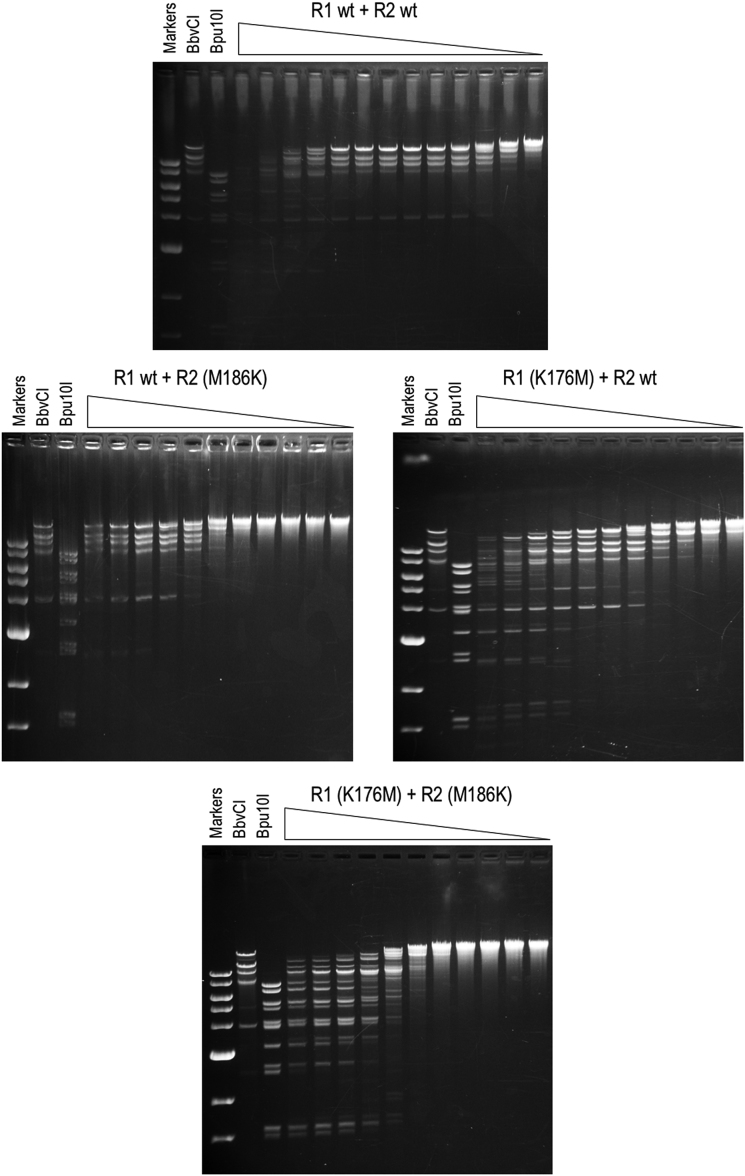 Figure 10.