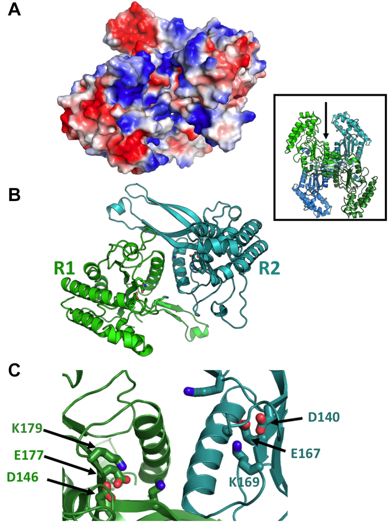 Figure 4.