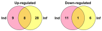 Figure 21