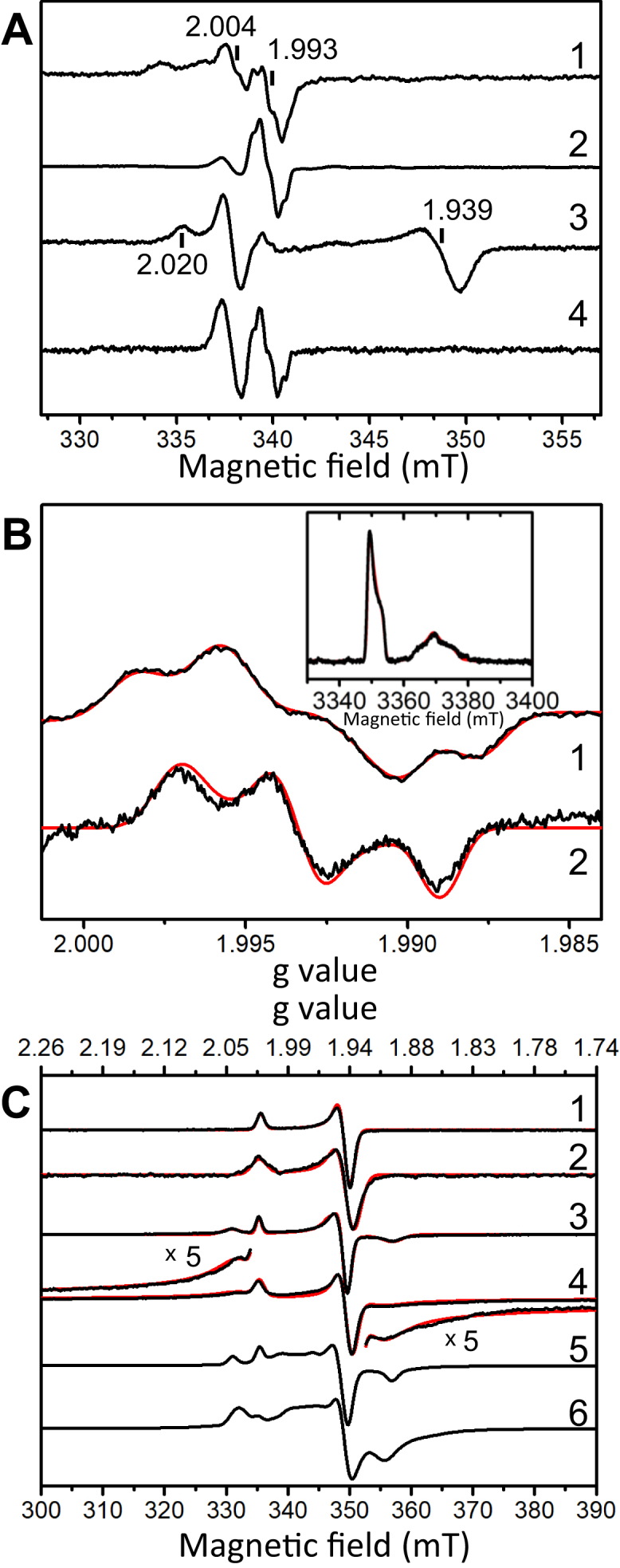 Figure 3