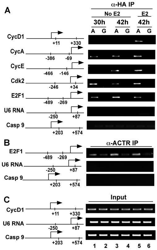 FIG. 5.