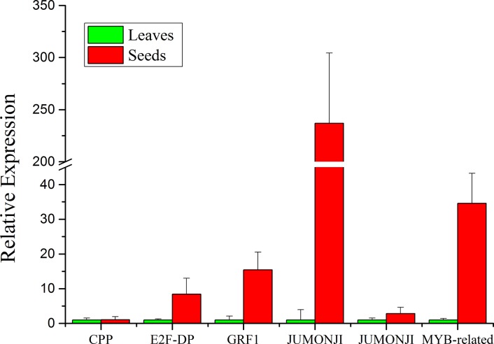 Fig 6