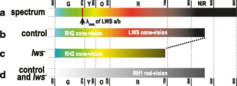 Fig. 6