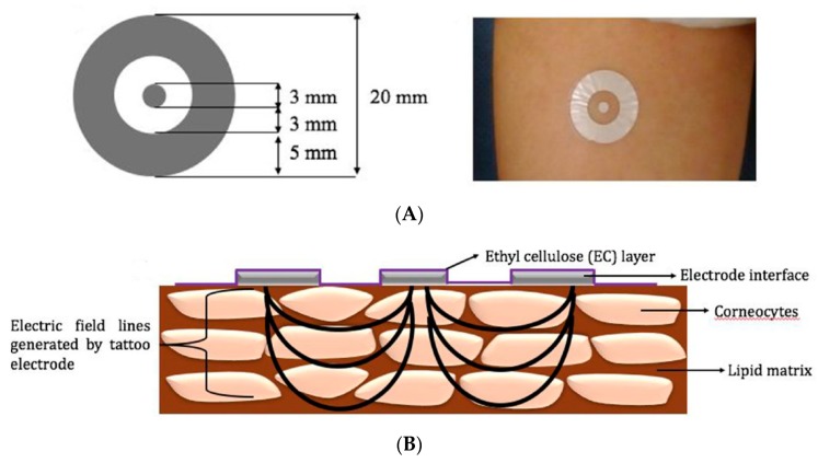 Figure 34