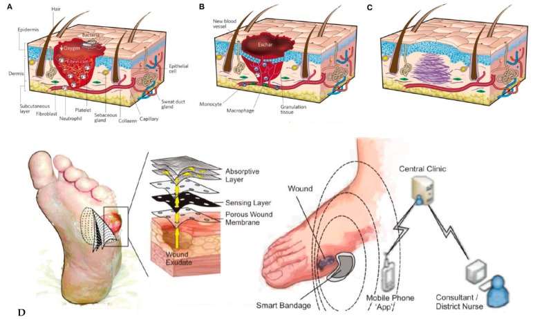 Figure 28