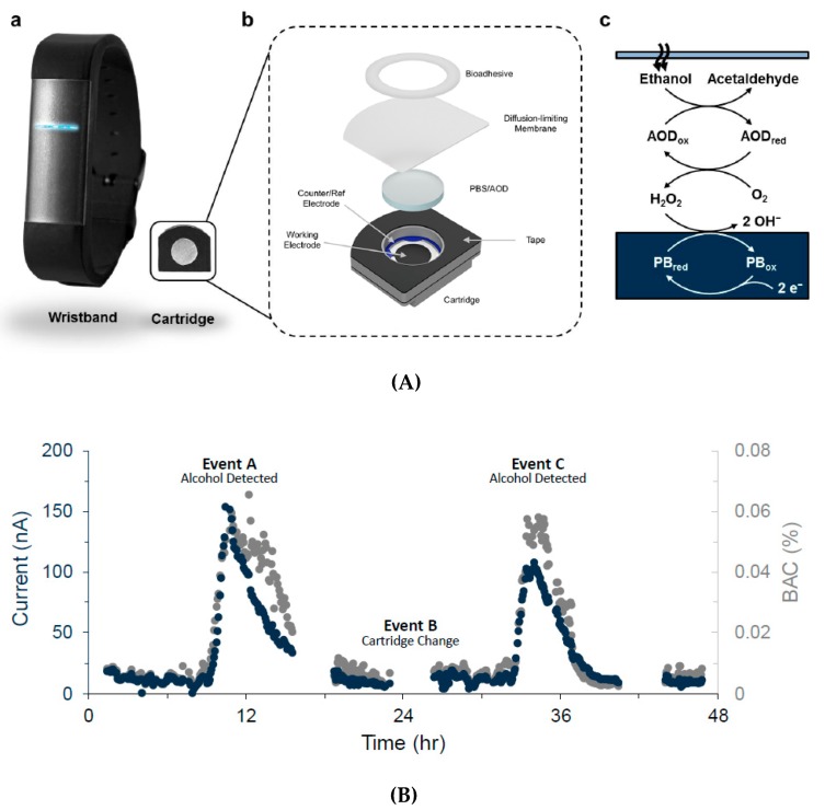 Figure 31