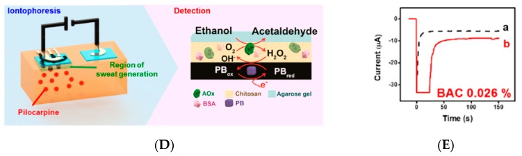 Figure 30