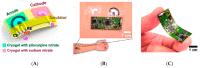 Figure 30