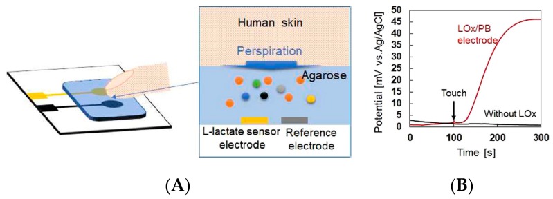 Figure 13