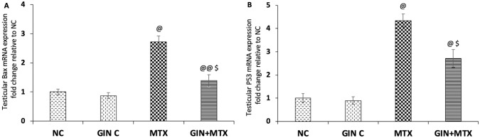 Figure 5.