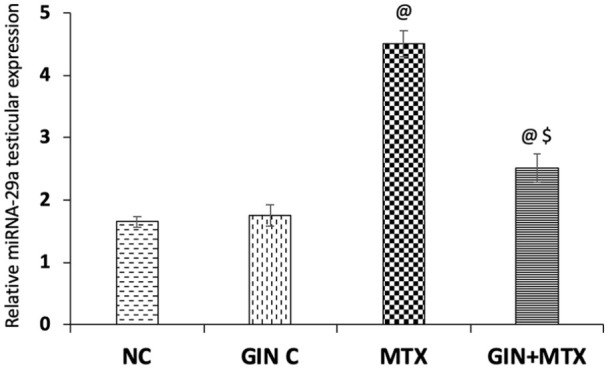 Figure 7.