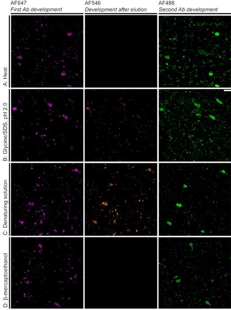 Figure 2: