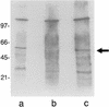 FIG. 5