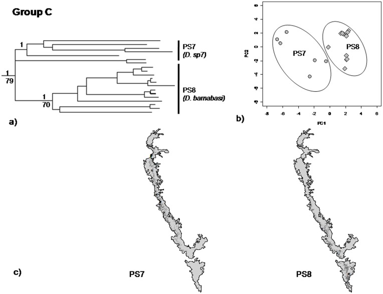 Figure 7