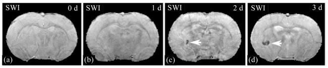 Fig. 10