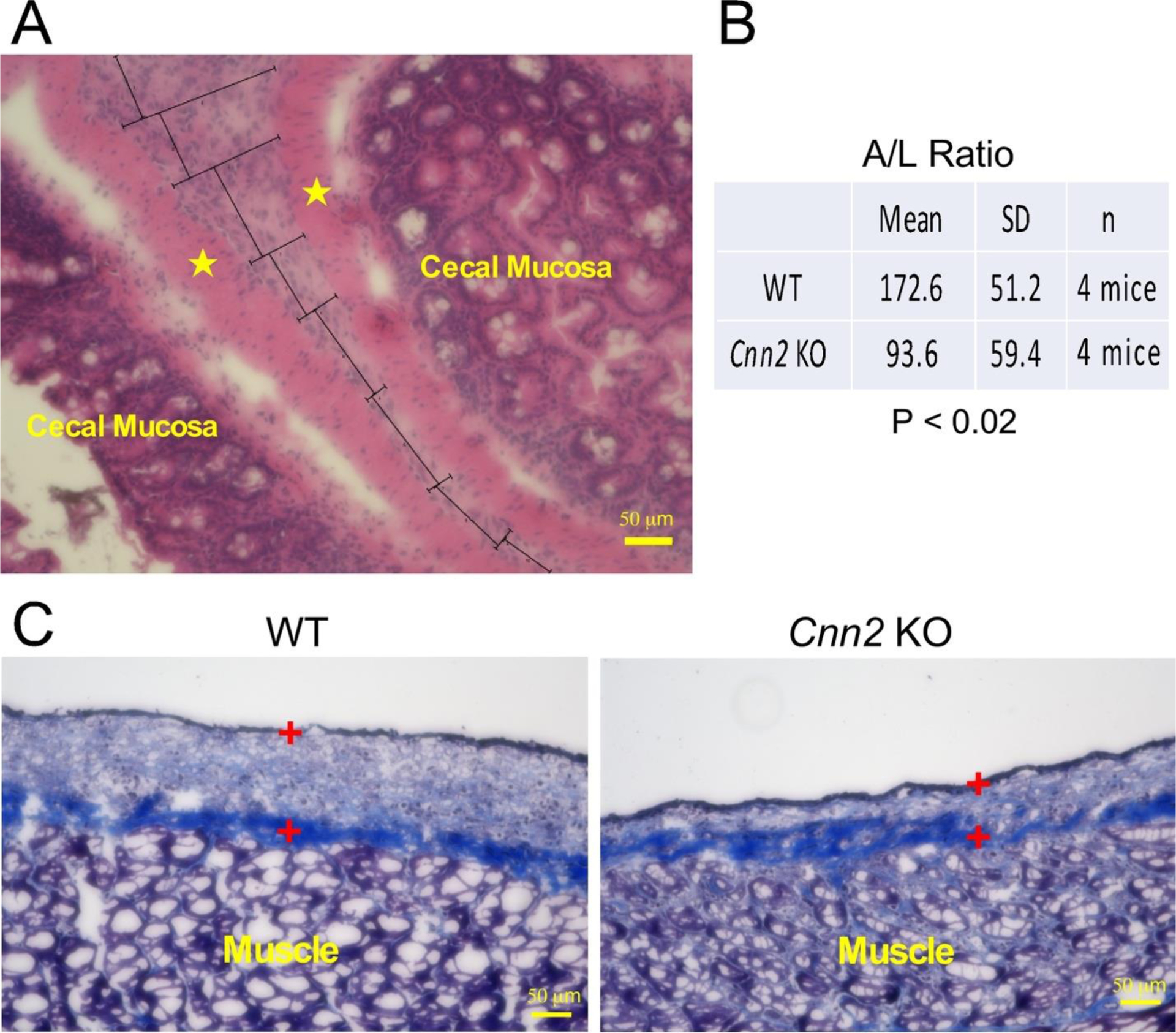 Figure 4: