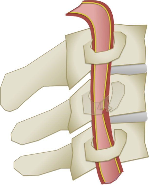 Figure 6a.