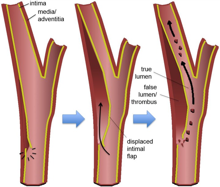 Figure 3a.