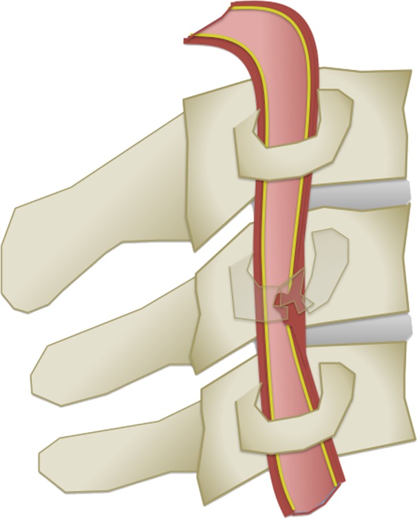 Figure 6b.