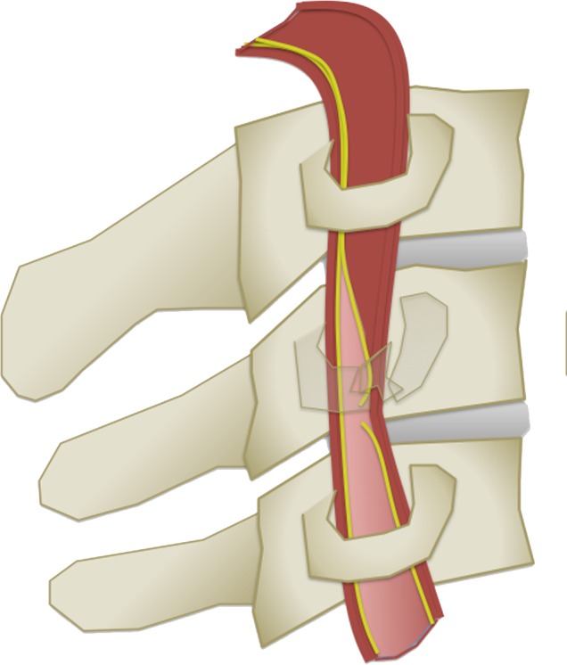 Figure 6f.