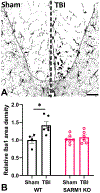 Fig. 11.